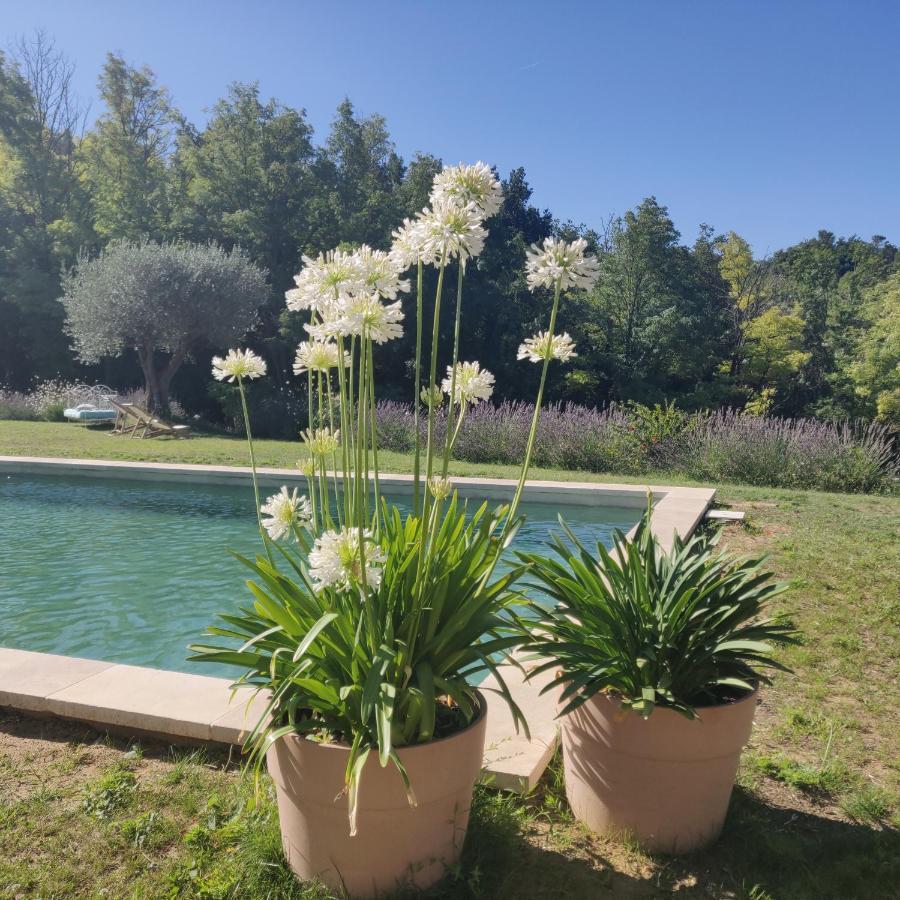 Chambre Double En Pleine Nature "La Clairiere De L'Ange" Peyrins Buitenkant foto